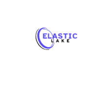 elasticlakeinfo