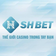 shbet800com1